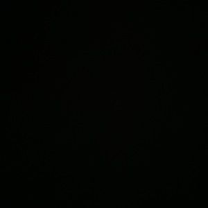 Meet your Posher, Phillip